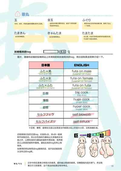 第19頁圖
