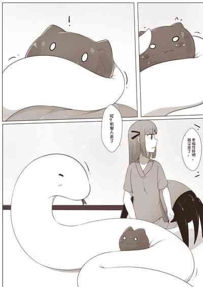 第11页图