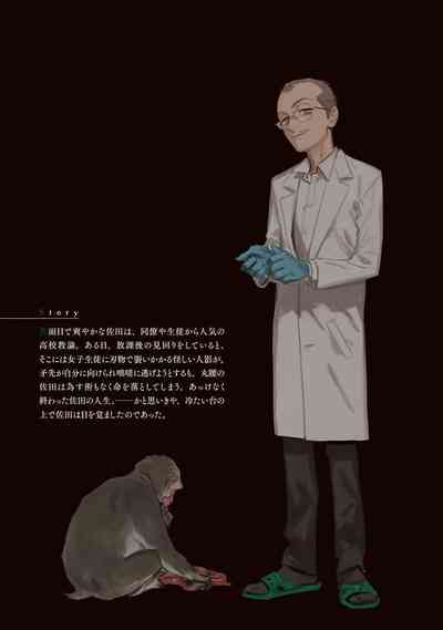 第243頁圖