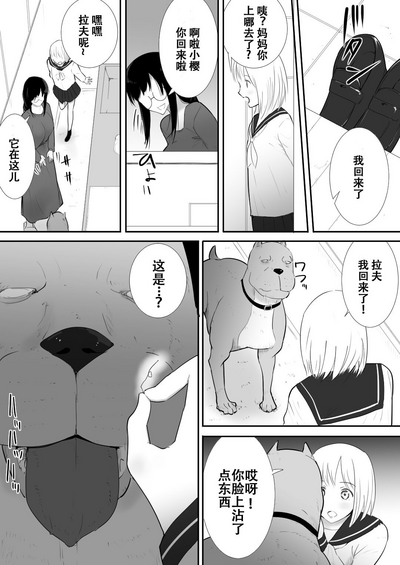 第11页图