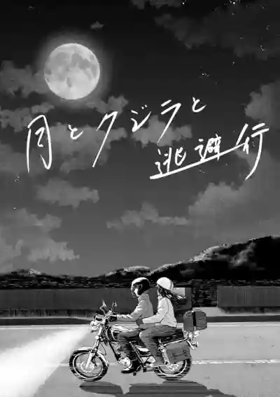 第3页图