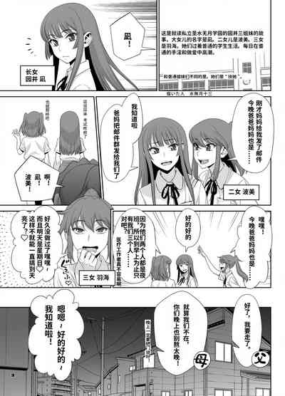 第3页图
