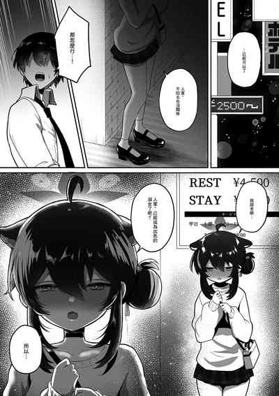 第11页图