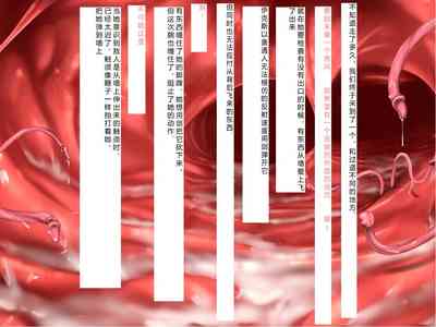 第135頁圖