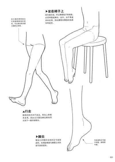 第31頁圖
