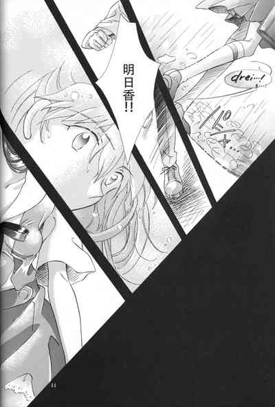 第43頁圖