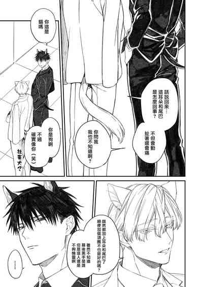 第155頁圖
