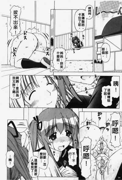 第95頁圖