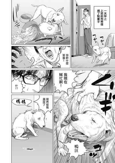 第179頁圖