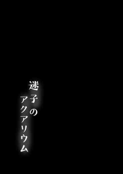 第67頁圖