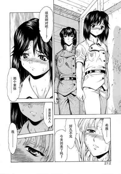 第215頁圖