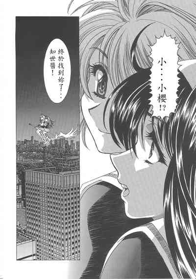 第151頁圖