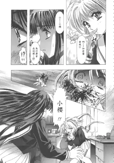 第55頁圖