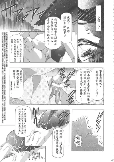 第91頁圖