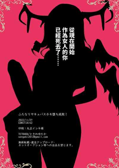 第27頁圖