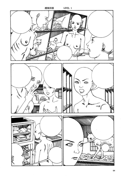 第67頁圖
