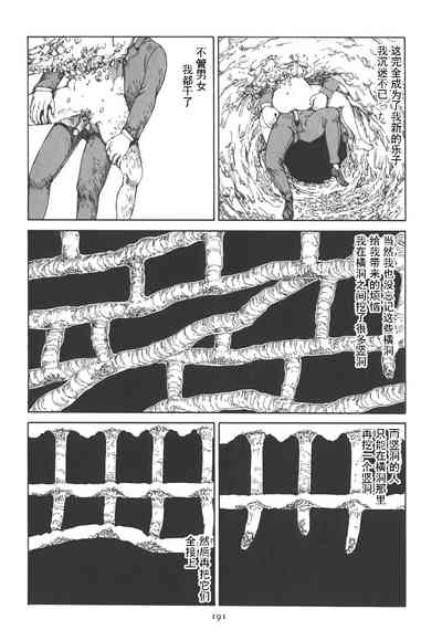 第195頁圖