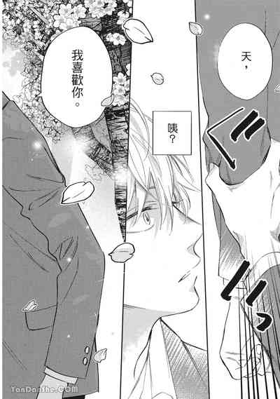 第127頁圖