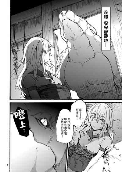 第3页图