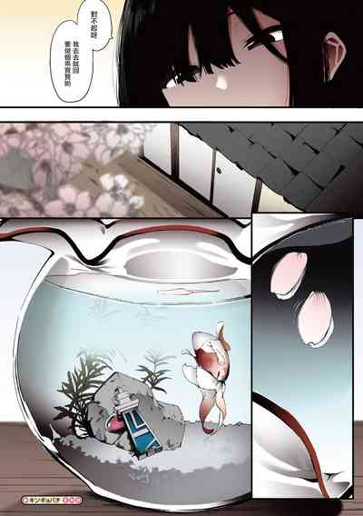 第203頁圖