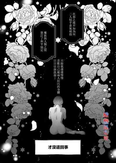 第55頁圖
