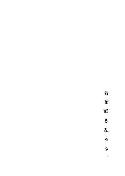 第31頁圖