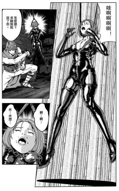 第291頁圖