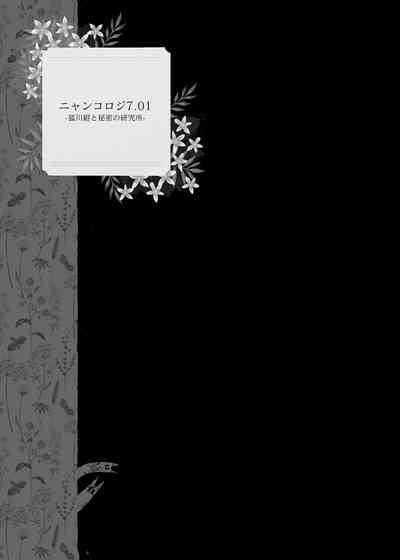 第47頁圖