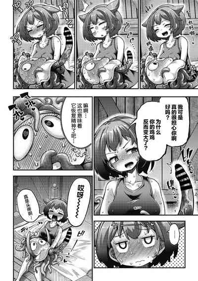第11页图