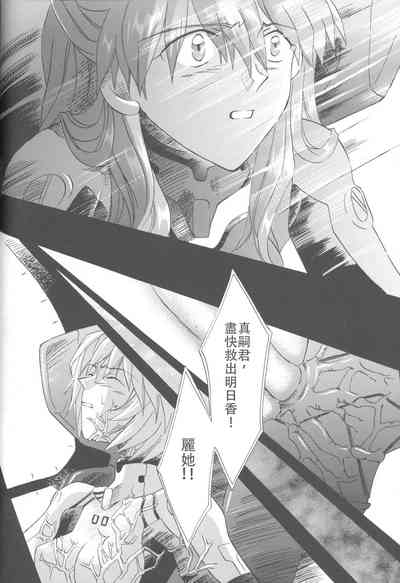 第223頁圖