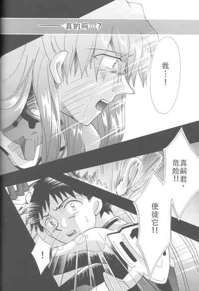 第231頁圖