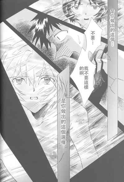 第247頁圖