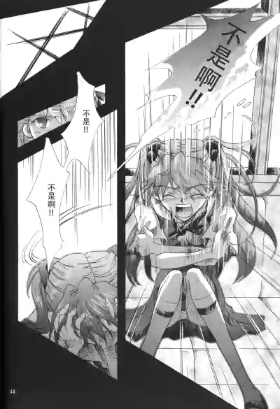 第43頁圖