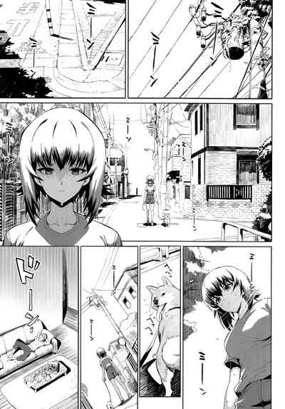 第39頁圖