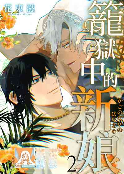 第31頁圖