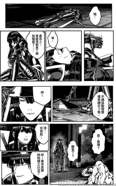 第219頁圖