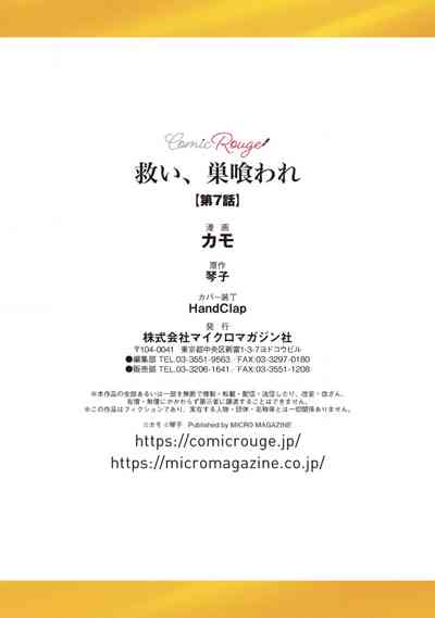 第243頁圖