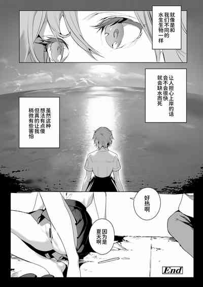 第27頁圖