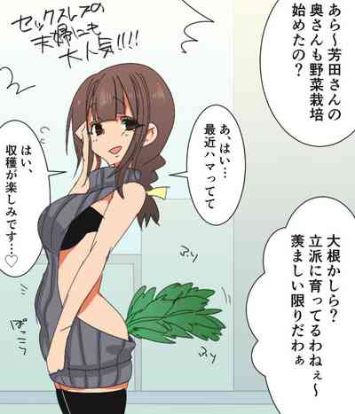 第527页图