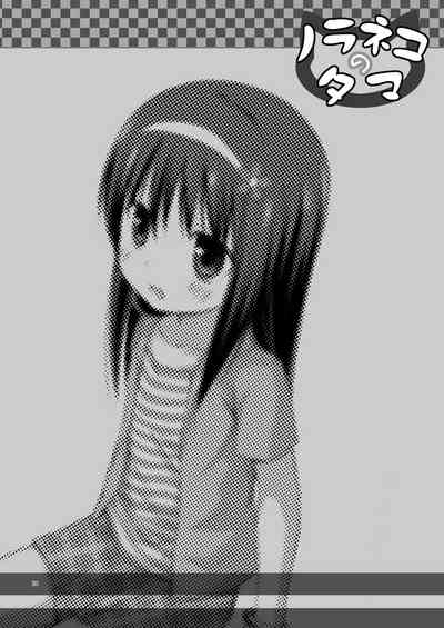 第23頁圖