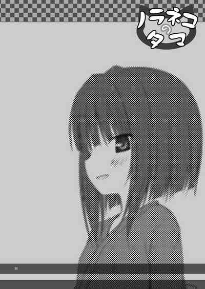 第23頁圖