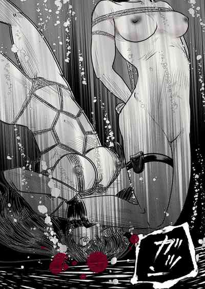 第47頁圖