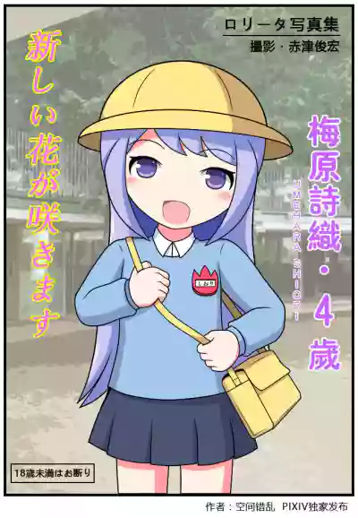 第219页图