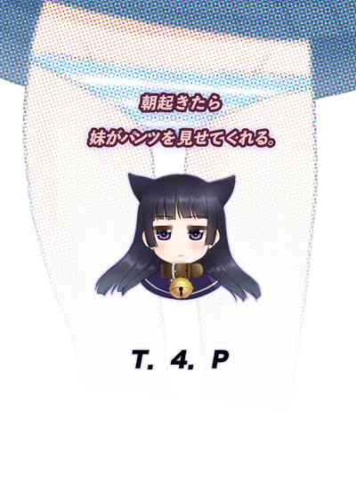 第27頁圖