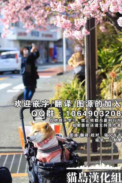 第27页图