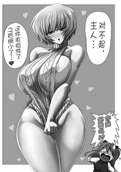 第51頁圖