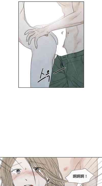 第491頁圖