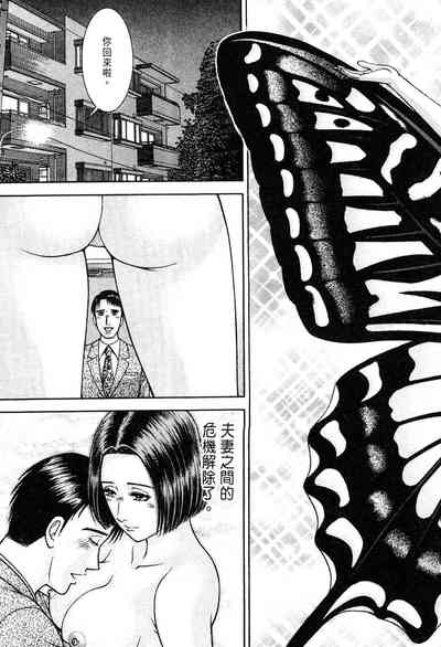 第27頁圖