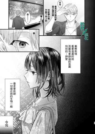 第75頁圖