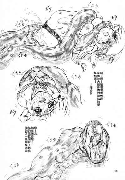 第19頁圖